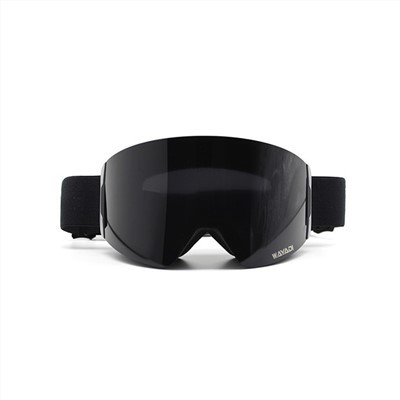 Лыжные очки OEM